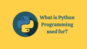 What is Python Programming used For